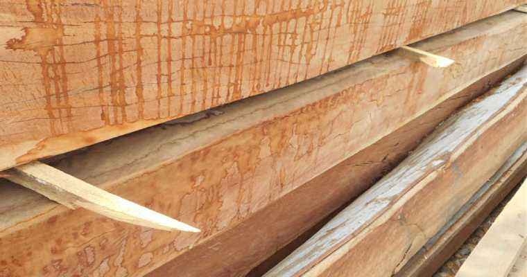 German sawn timber exports witness an 11% decline in H1 2023