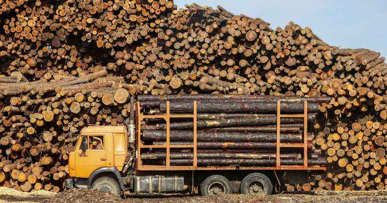 Finnish timber trade surges by 28% in January-July 2023