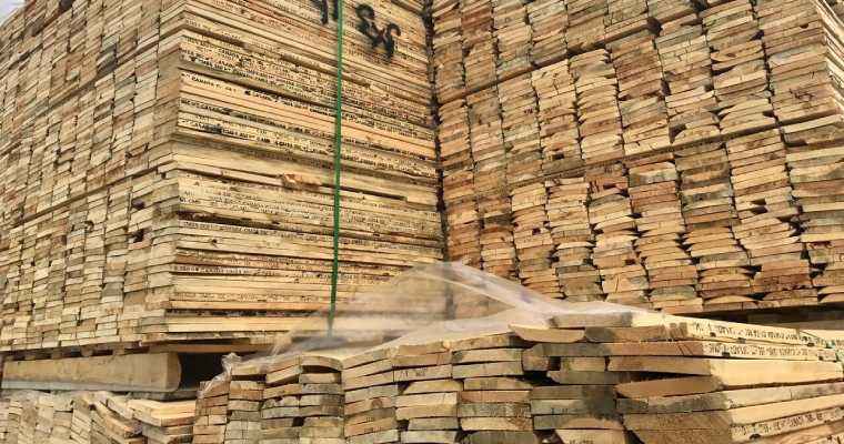 July witnesses a 36% YoY decrease in Brazilian wood exports