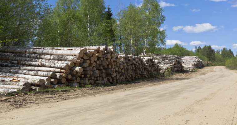 Finland's forest sector exports fell by 16% in June 2023