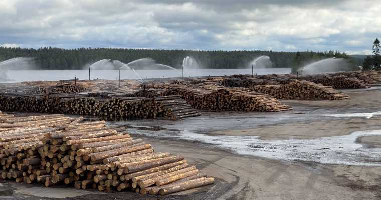Timber scarcity alters Finland's forest products sector