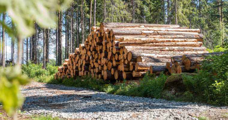 8-month of timber harvest in Finland exceeds 38 million m&sup3;