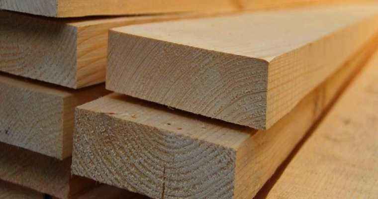 Brazilian wood exports see 26% decline in August 2023