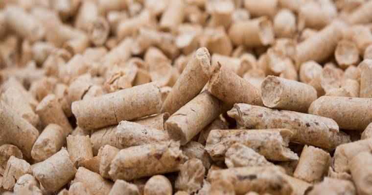 August saw an increase in U.S. wood pellet exports