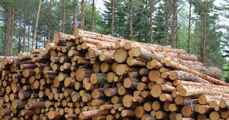 Finland's wood imports climb 3% in the first 7 months of 2023