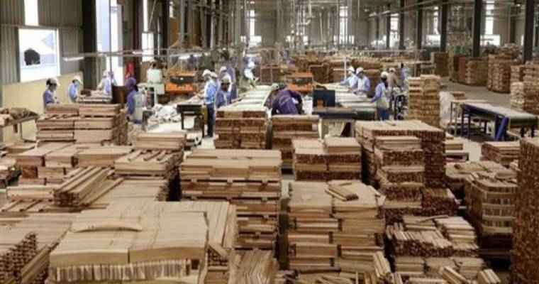 Vietnam&rsquo;s wood sector on the path to recovery as orders increase