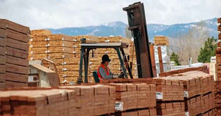 U.S. wood market rebounds with a 7% increase in exports in 2023