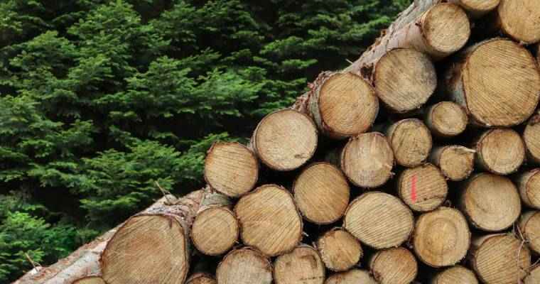 Swedish lumber exports to US rose by over 9% in Q2 2023