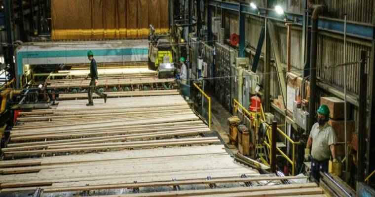 U.S. housing demand projected to push lumber prices higher in 2024
