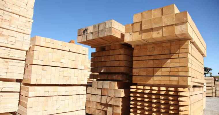Q3 saw continued growth in UK timber imports