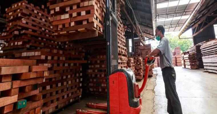 Malaysia's wood exports fell by 19% from January-August 2023
