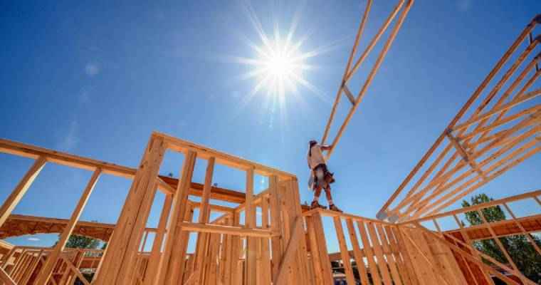 Ireland's latest initiative to fuel timber use in construction projects