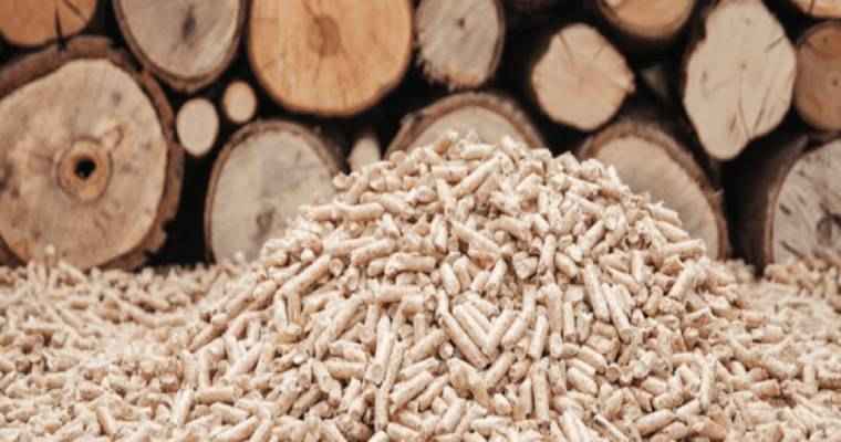 US wood pellet exports dip 21% to 796,988 million tons in September