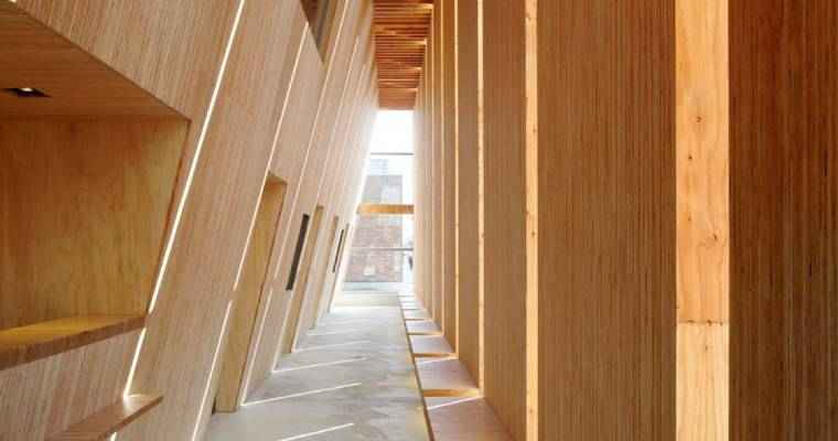 Japan deepens investments in mass timber construction