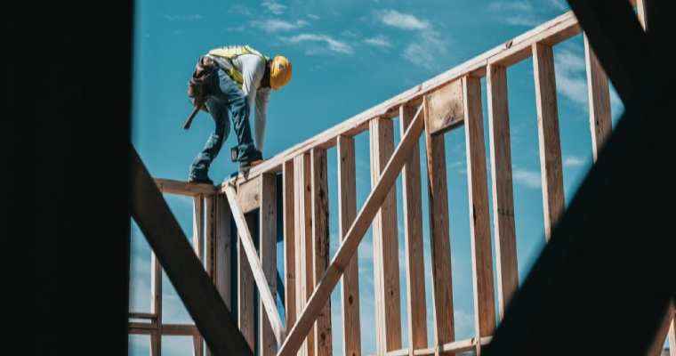 COP28: 17 nations commit to sustainable timber for construction