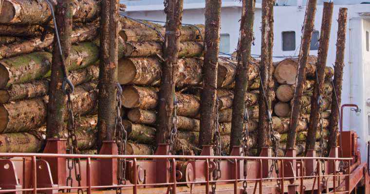 Finland sees drop in timber & forest product trade in 1st eight months of 2023