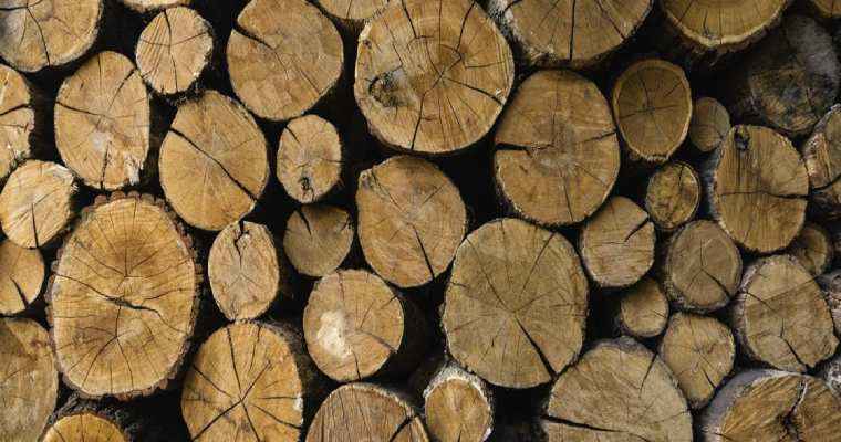Vietnam extends ban on timber imports from Laos and Cambodia