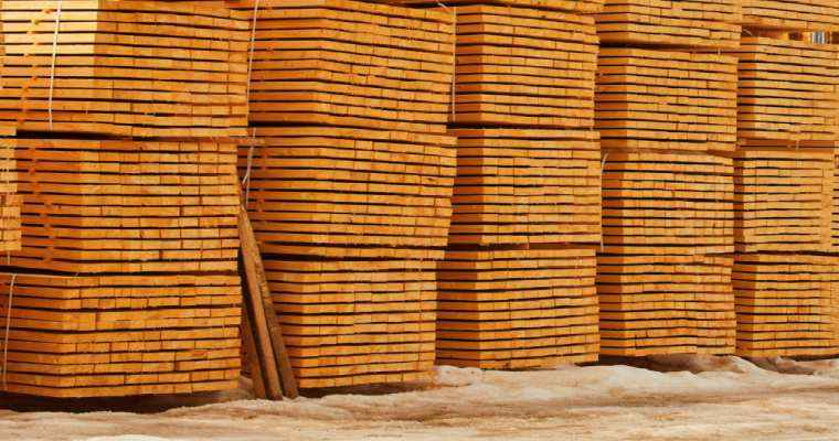 Brazilian wood-based exports saw a yearly decline in October
