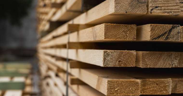 Timber sector poised for positive momentum in the new year