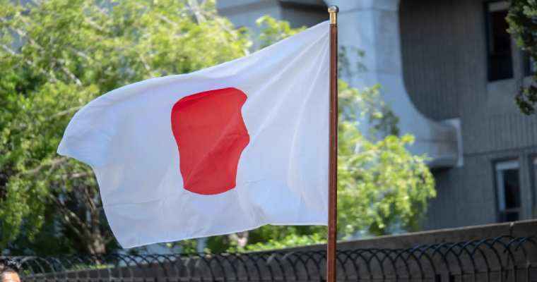Japan's housing starts drop by 8% in November