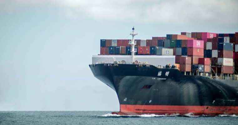Vessels face capacity crunch with record rerouting via Cape of Good Hope