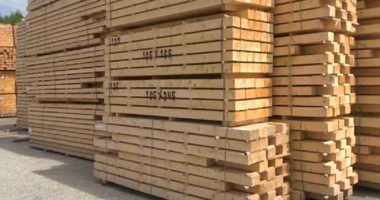 Wood price hike persists in Swedish market