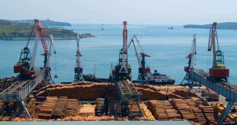 Ukraine ramps up log exports amid government financial struggles