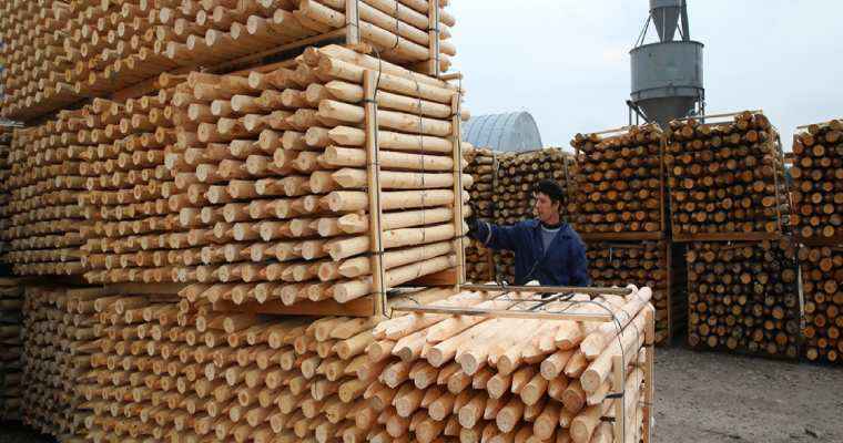 2023 saw a 40% rise in Belarusian sawn timber exports