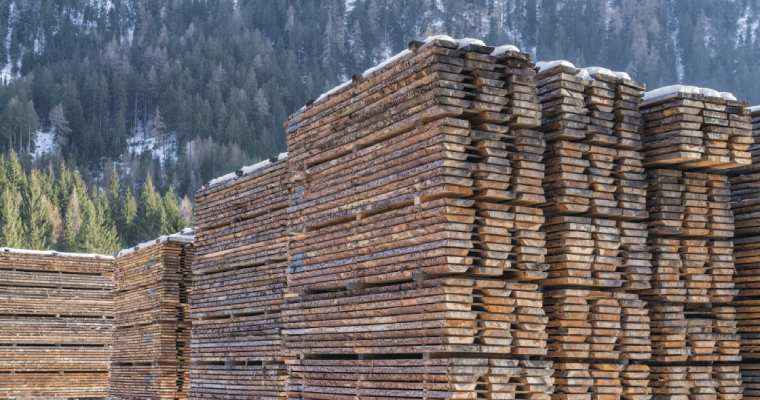 Russian lumber exports see a 10% decline in 2023