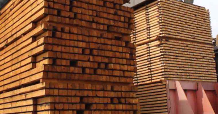 Belarus sustains timber export growth throughout January