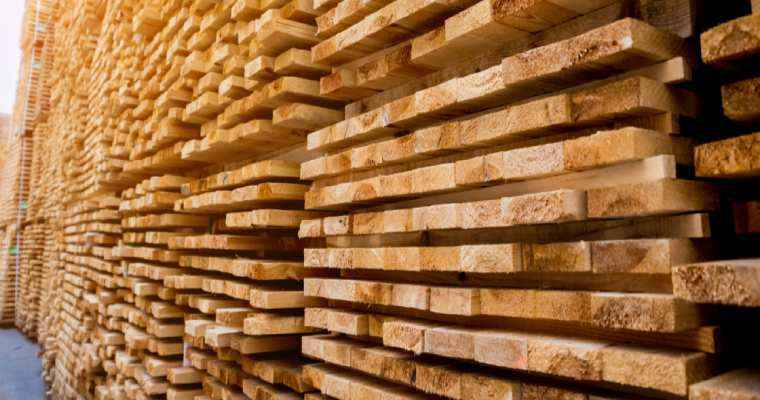 Dried-up Panama Canal crushed global timber amid Red Sea tensions