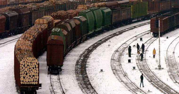 Azerbaijan timber trade booms with China's Middle Corridor development