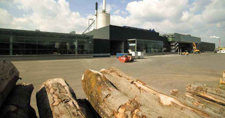 German Sawmill Association welcomes restart of housing construction funding