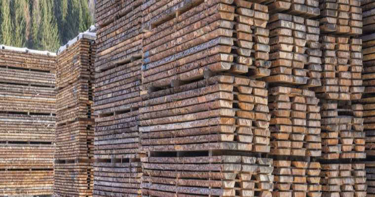 Russian timber industry investments saw a 5% drop in 2023