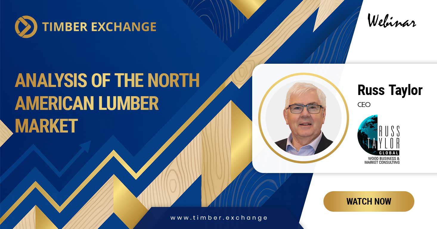 Analysis of the North American Lumber Market