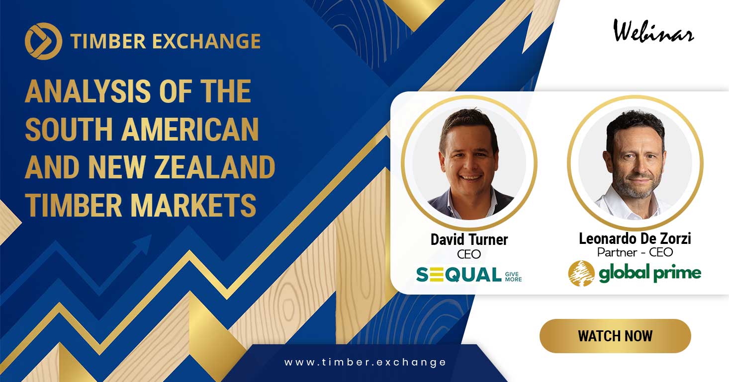 Analysis of the South American and New Zealand Timber Markets