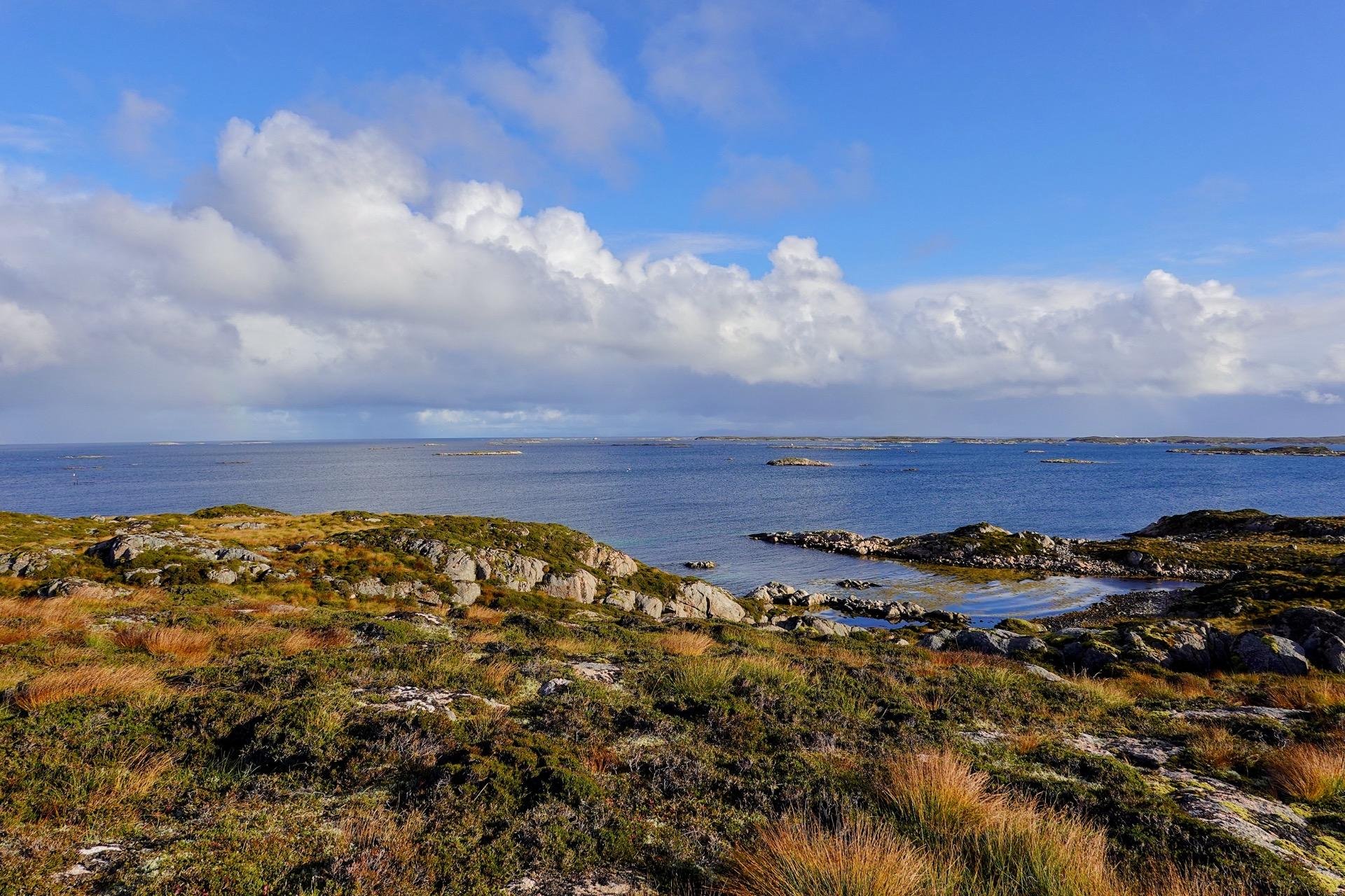 Coastal landscape featuring a rocky foreground covered with moss and low shrubs, leading to calm blue waters dotted with small islands, under a dynamic sky with fluffy white clouds.