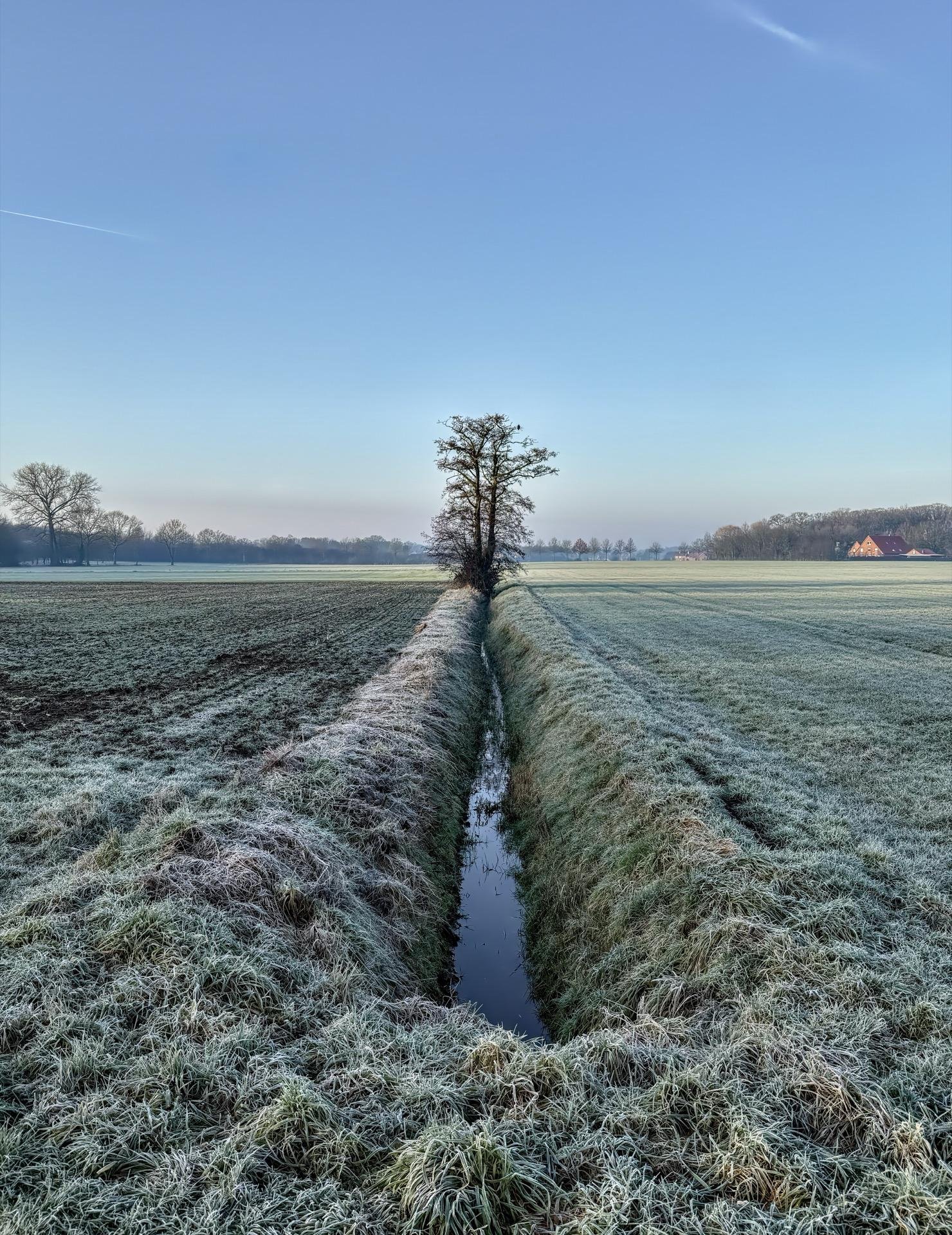 Narrow water canal flanked by frost-covered grass, running straight through a field leading to a lone tree in the foreground, with a clear blue sky above and faint mist over distant trees and houses.