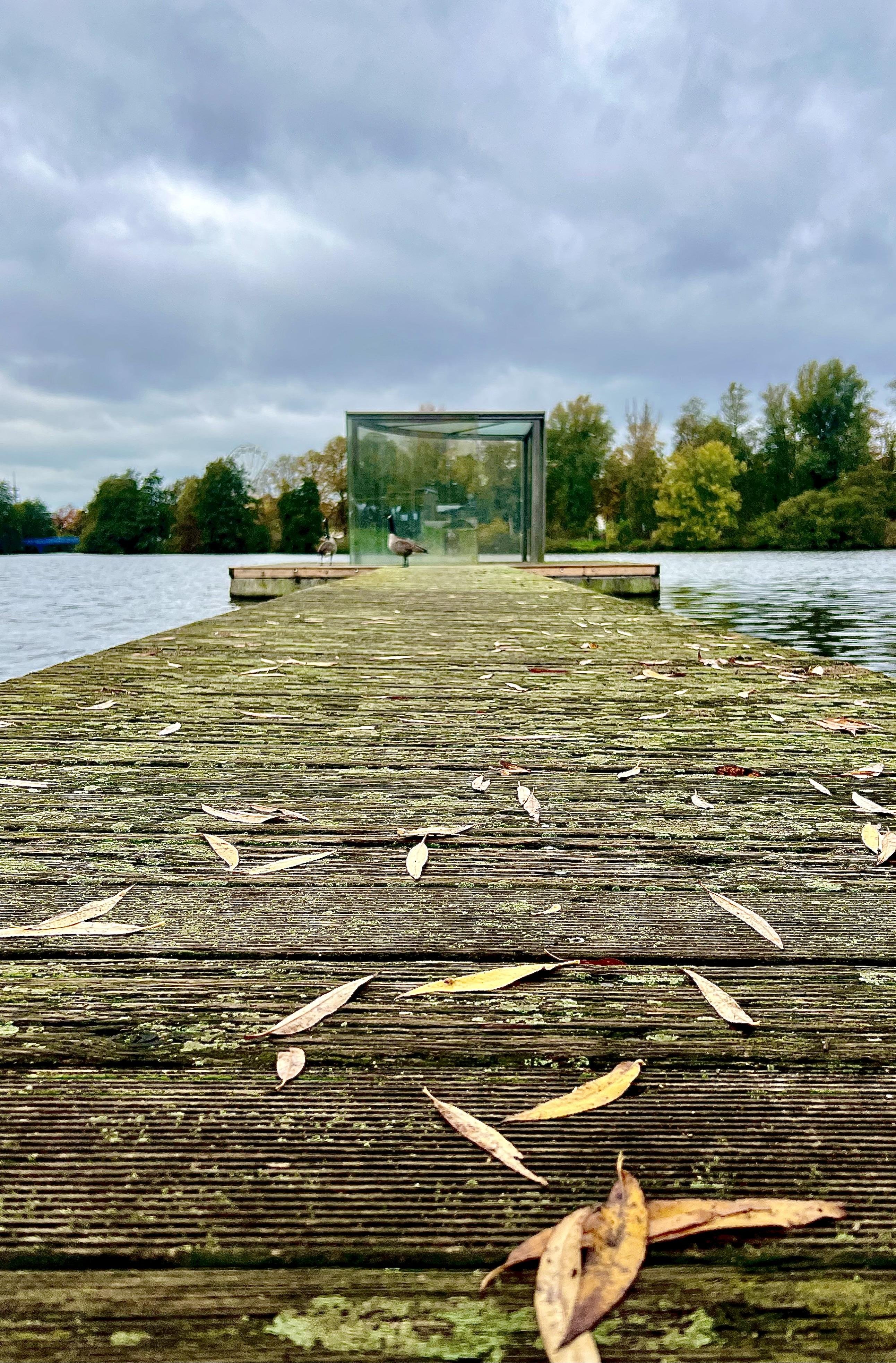 A long wooden dock covered with fallen leaves leads to a transparent glass structure on a lake. Cloudy skies loom above and the far bank is lined with vibrant autumnal trees. Four geese are visible near the glass structure, enhancing a serene waterfront scene.