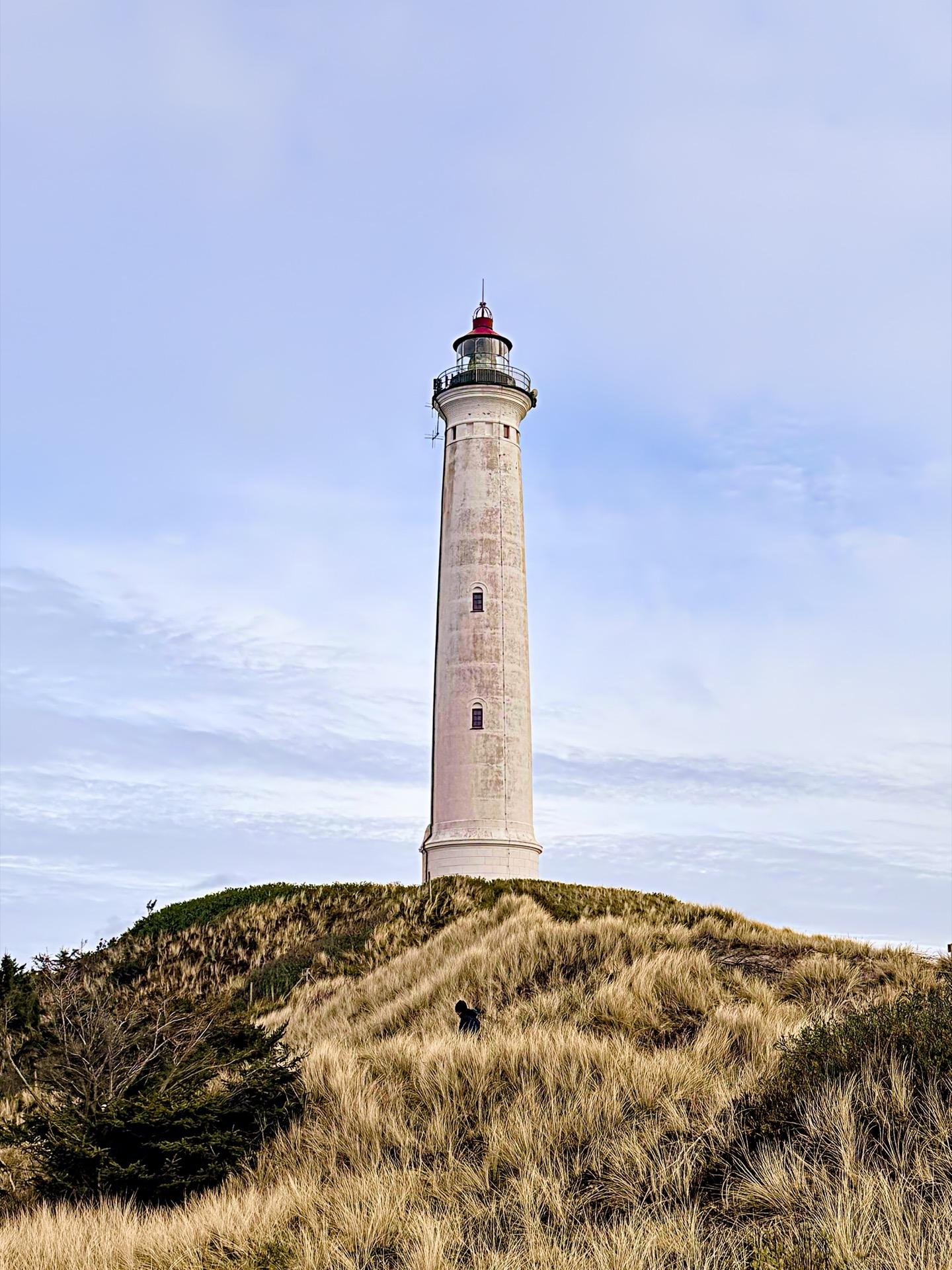 A tall lighthouse stands on a grassy hill under a clear blue sky. The lighthouse, constructed of weathered stone, is cylindrical and tapers towards a red light fixture at the top. Surrounding the base of the lighthouse are dense tufts of dry, golden grass and sporadic green shrubs. A solitary figure, small in scale, is visible at the bottom of the hill, adding a sense of scale to the scene.