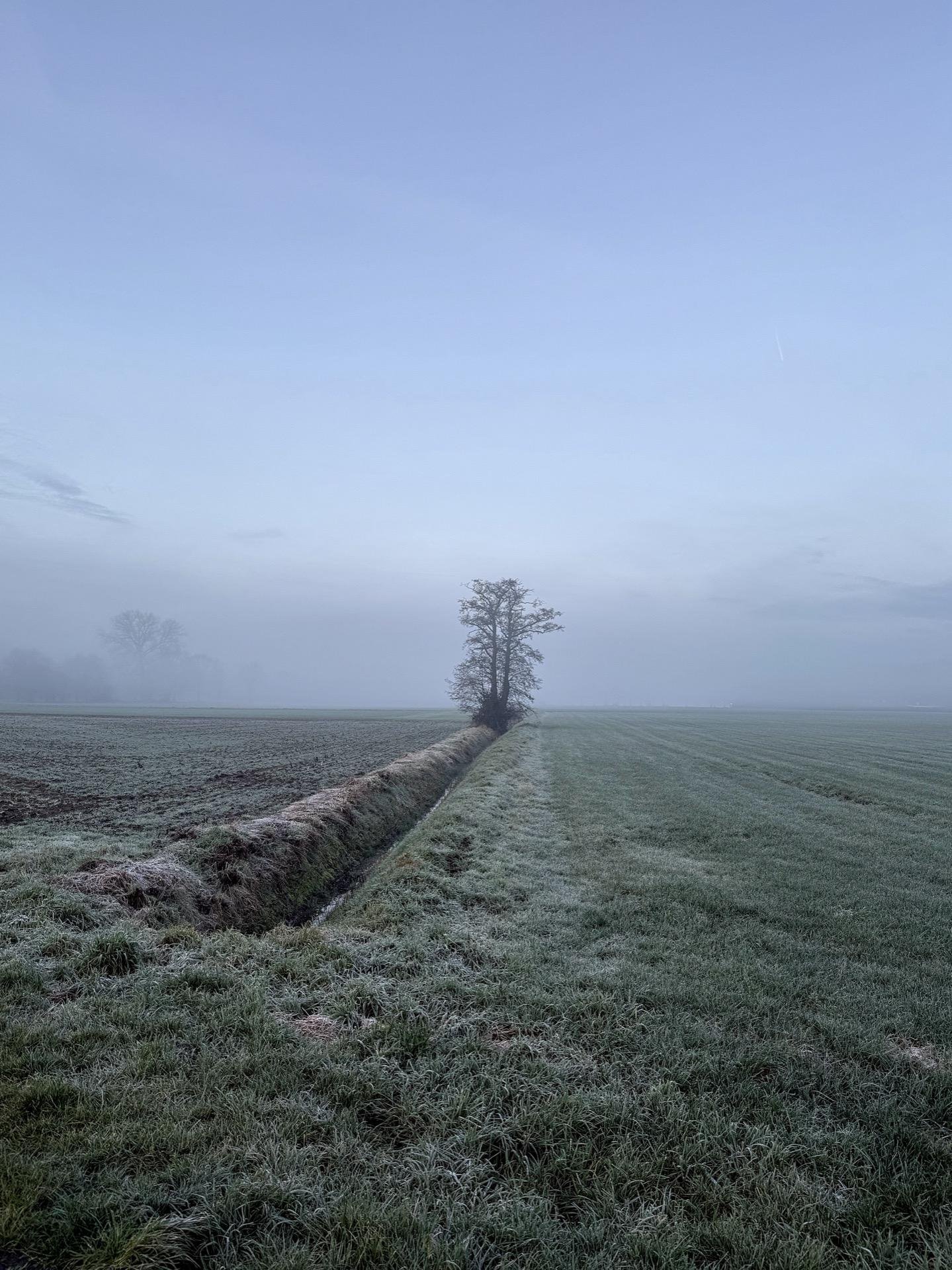 Vertical composition showing a frost-covered field under a hazy sky at dawn or twilight. A narrow, straight ditch lined with a small berm runs through the middle, leading toward a lone leafless tree on the right side. The field on either side is green, suggesting early spring or late fall, and there's a soft mist enveloping the distant landscape.