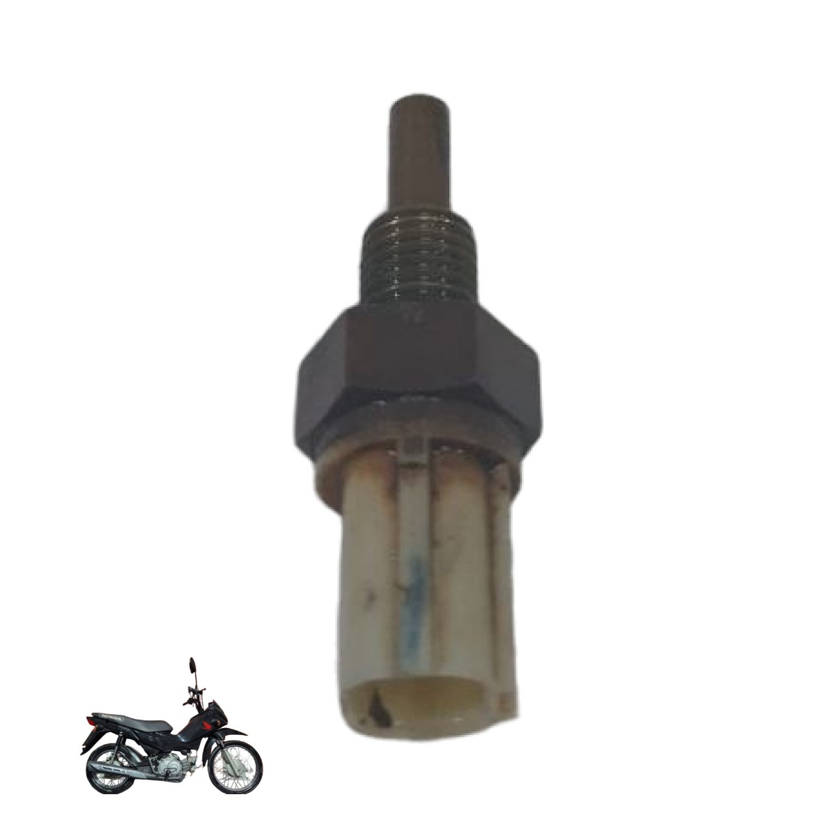 Sensor temperatura Pop 110 2015/2024 14115