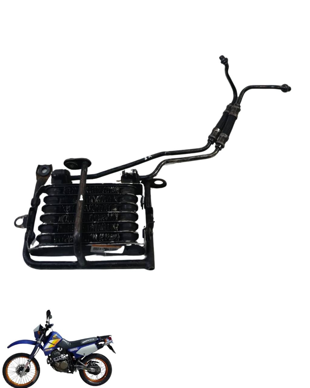 Radiador XLX 350 1987/1999 9564 2