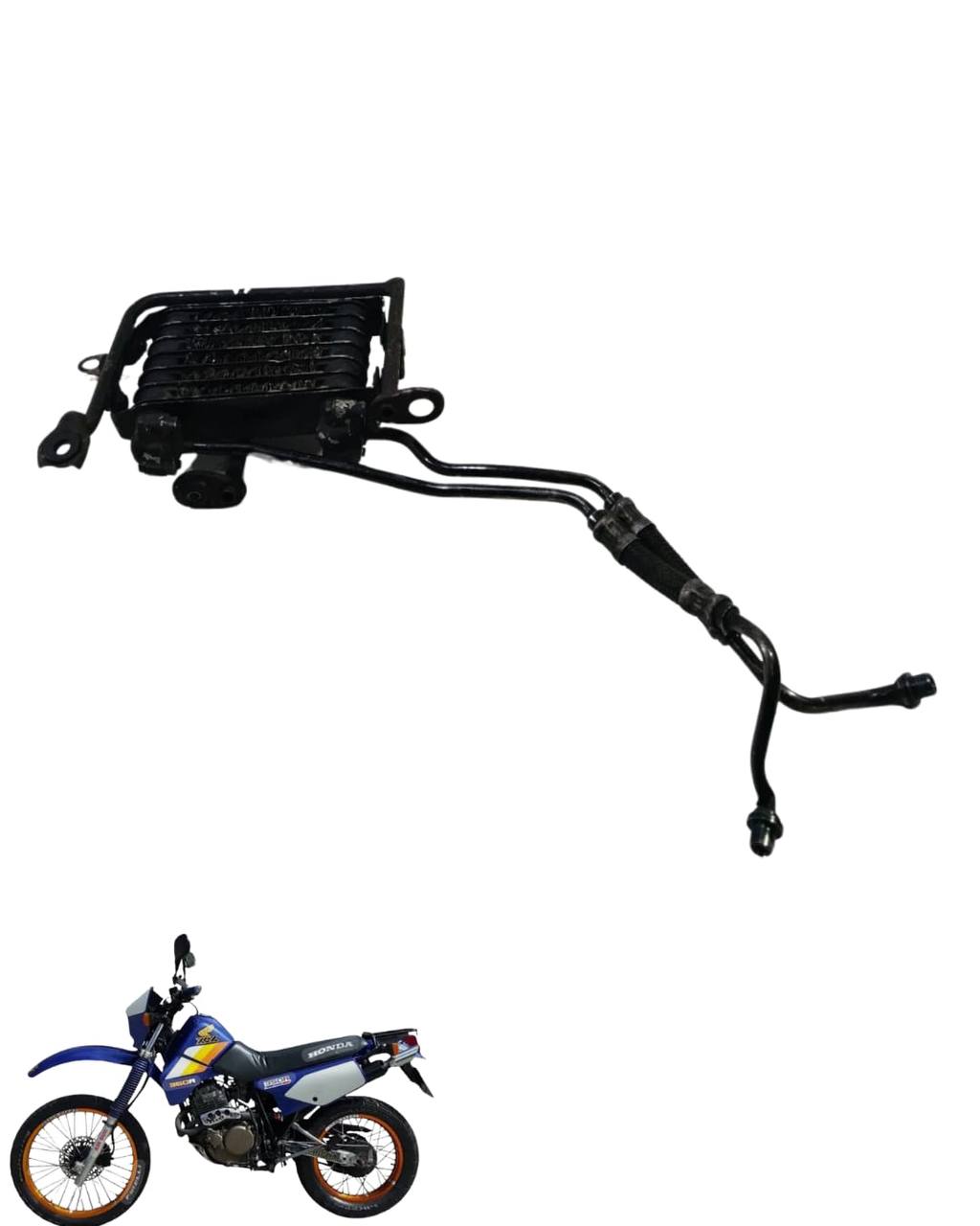 Radiador XLX 350 1987/1999 9564 3