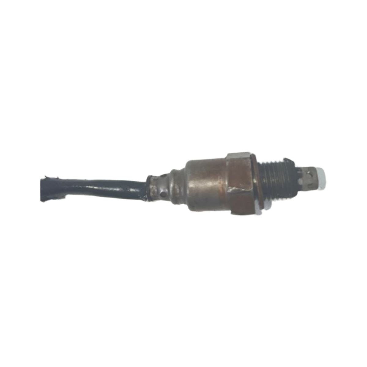 Sonda lambda Pop 110 2015/2024 14125 2