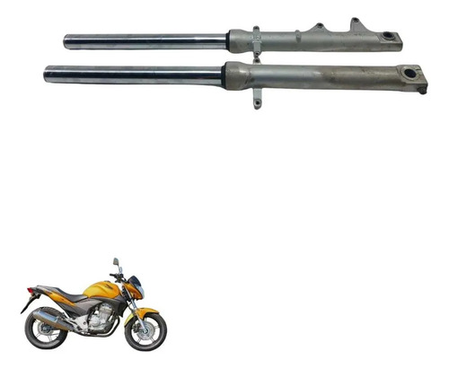 Bengala Cb 300 2009 8384 2