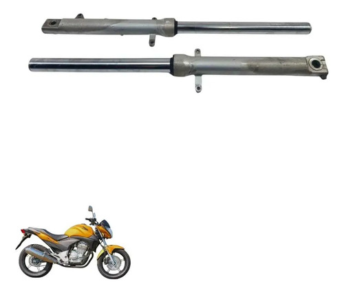 Bengala Cb 300 2009 8384 4