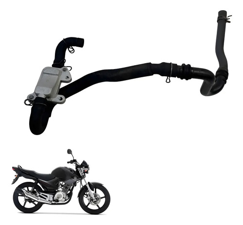 Catalisador Yamaha Factor 2009 Original -2445