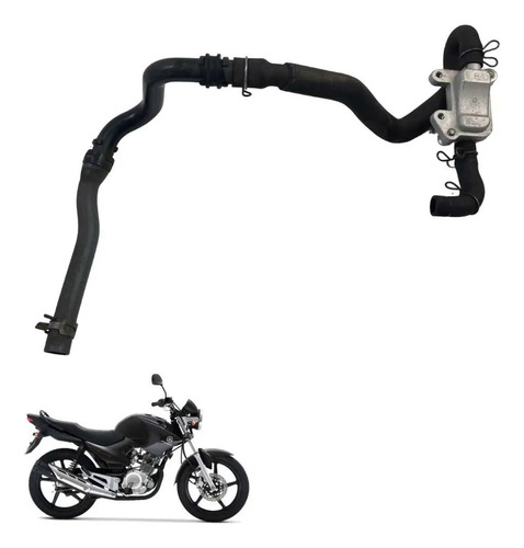 Catalisador Yamaha Factor 2009 Original -2445 2