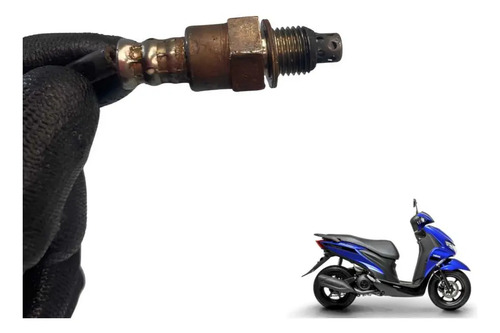 Sonda Lambda Yamaha Fluo 2023 Original   -2597 4